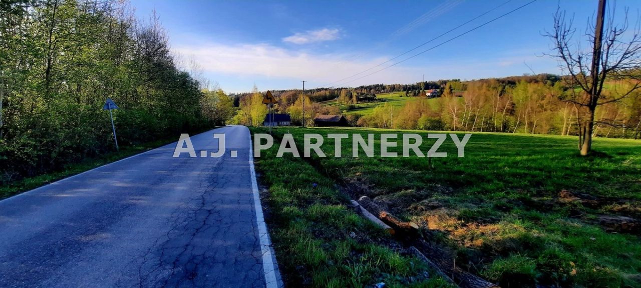 Działka Grabie. Zdjęcie 4