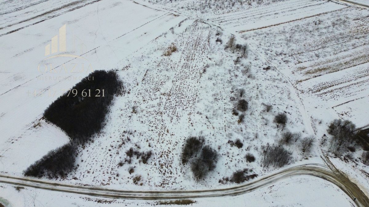 Działka inwestycyjna Zarzecze. Zdjęcie 3