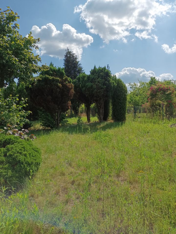 Działka rod Wrocław Klecina, al. Karkonoska. Zdjęcie 2