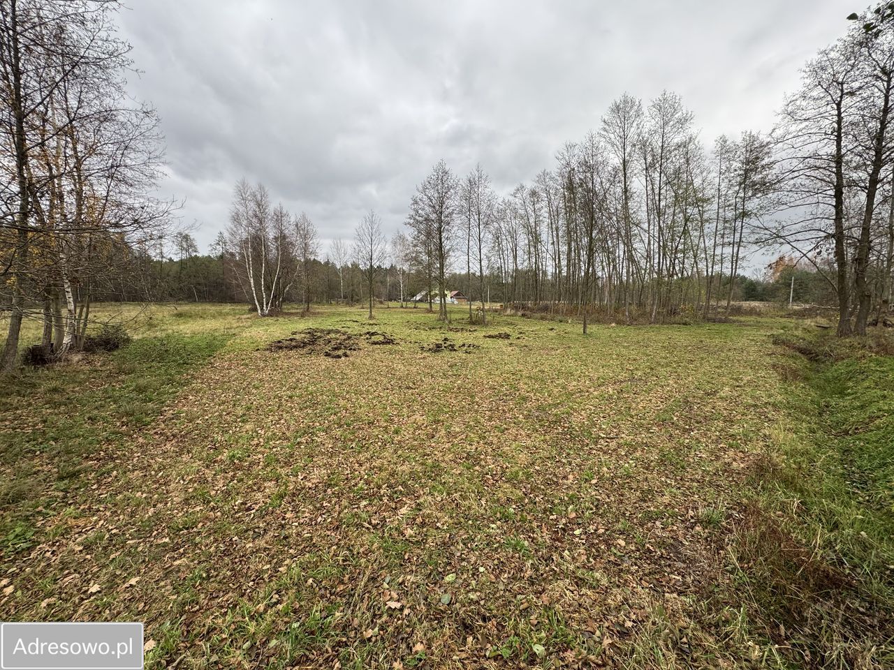 Działka budowlana Smolarzyny. Zdjęcie 6