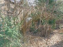 Działka budowlana Kanie. Zdjęcie 1