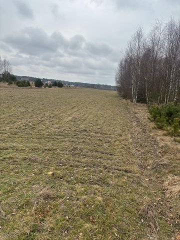 Działka budowlana Okoniny Nadjeziorne. Zdjęcie 1