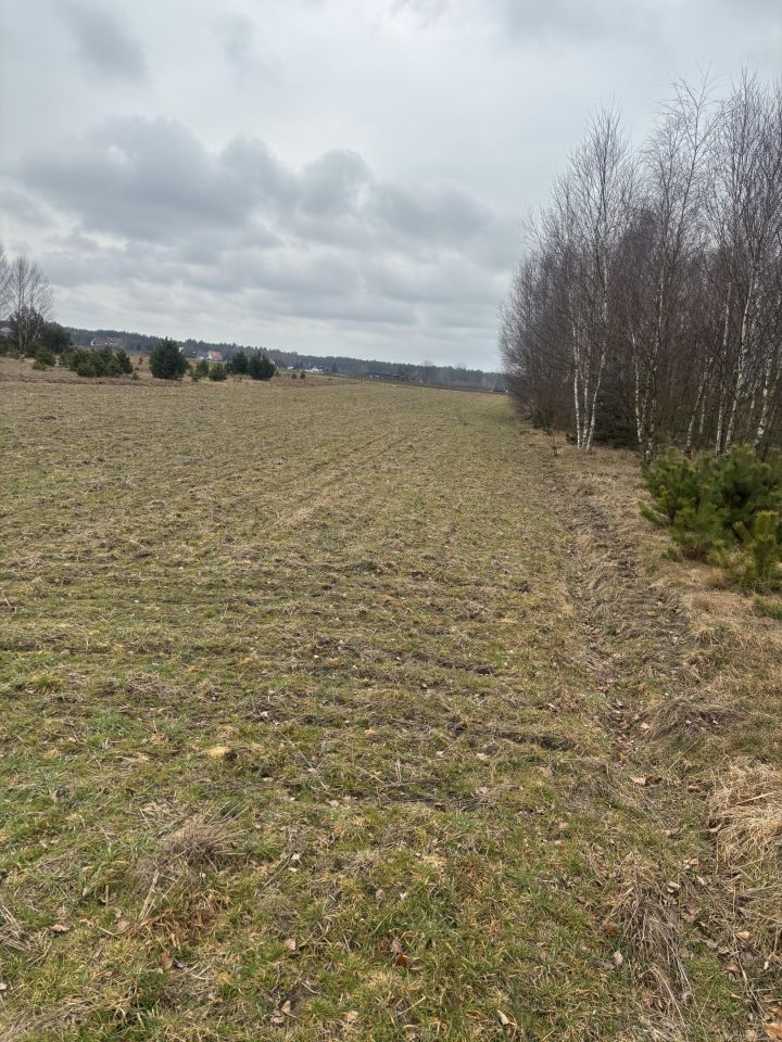Działka budowlana Okoniny Nadjeziorne. Zdjęcie 1