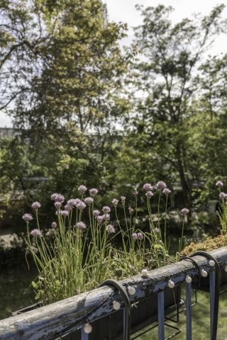 Mieszkanie 3-pokojowe Wrocław Borek, ul. Sudecka. Zdjęcie 13