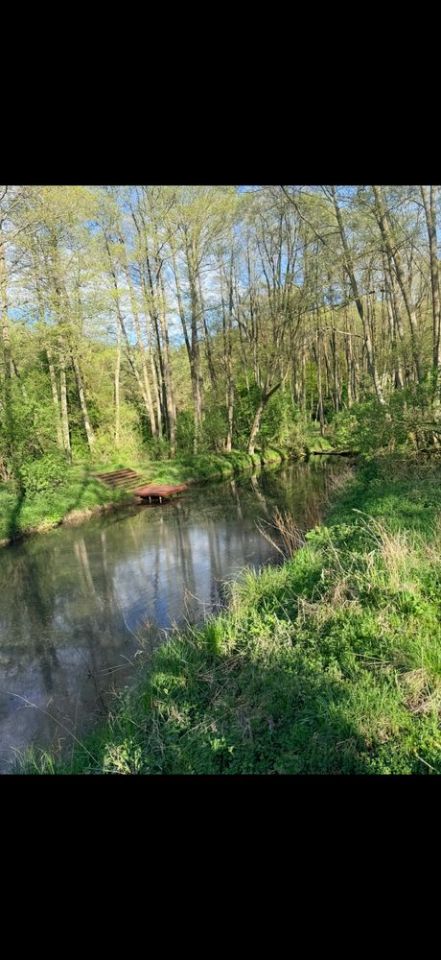 Działka budowlana Węgorzewo. Zdjęcie 5