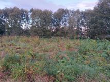 Działka rolno-budowlana Klamry. Zdjęcie 4