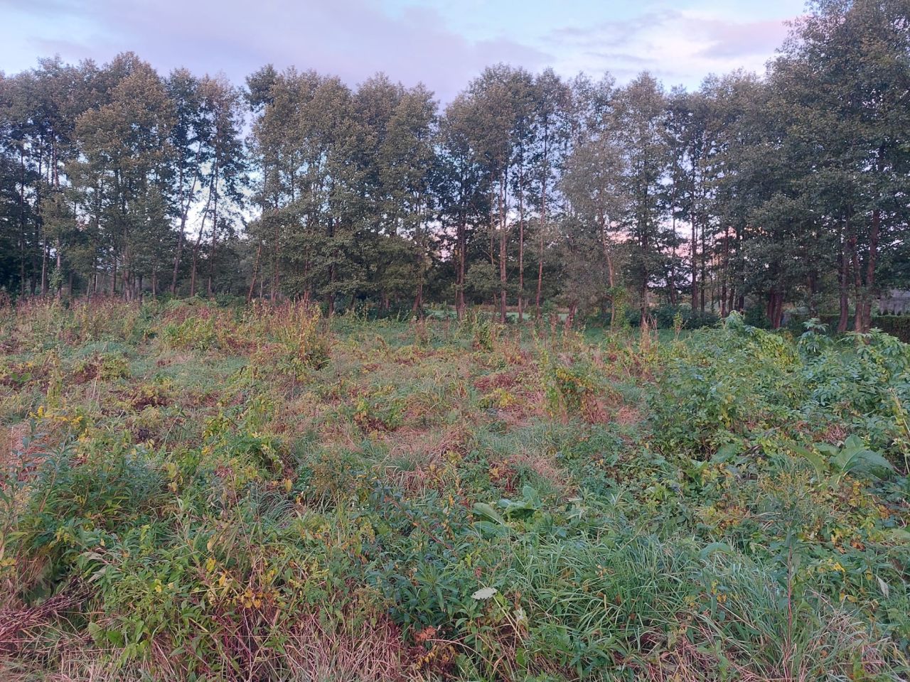 Działka rolno-budowlana Klamry. Zdjęcie 5