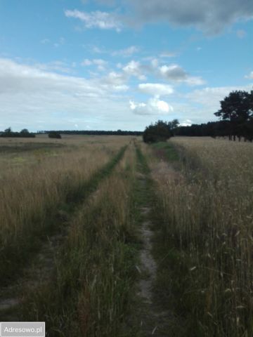 Działka budowlana Nowy Jasiniec. Zdjęcie 1