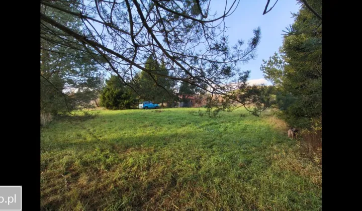 Działka budowlana Czapielsk, ul. Skrzypowa