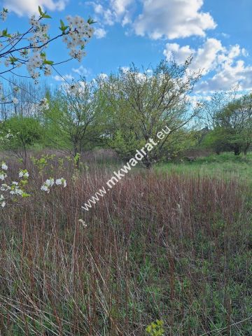 Działka budowlana Kajetany. Zdjęcie 2