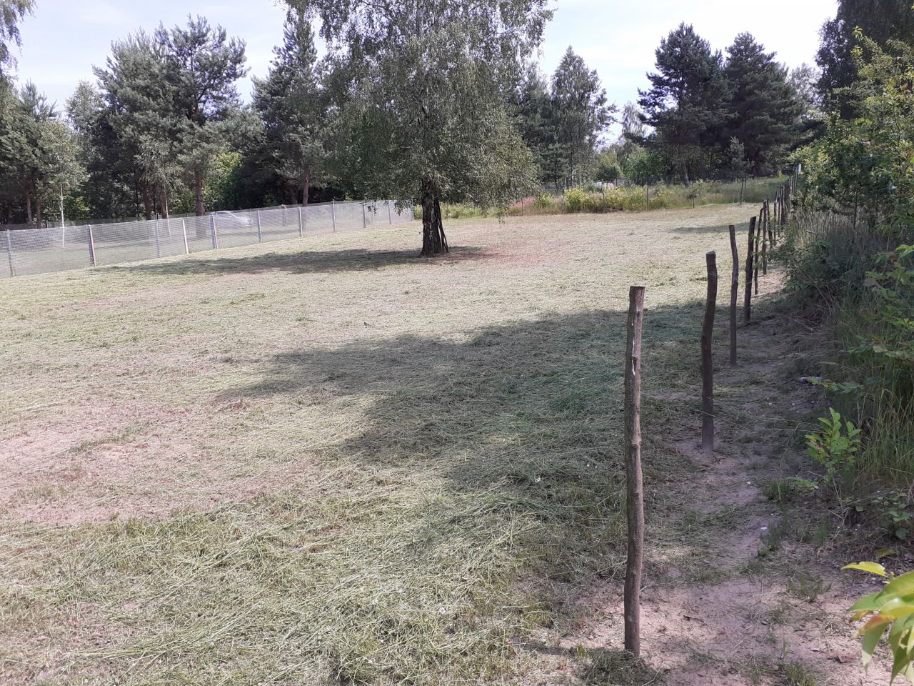 Działka budowlana Częstochowa Kiedrzyn, ul. Tadeusza Mazowieckiego. Zdjęcie 4