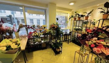 Biuro Katowice, ul. Adama Mickiewicza