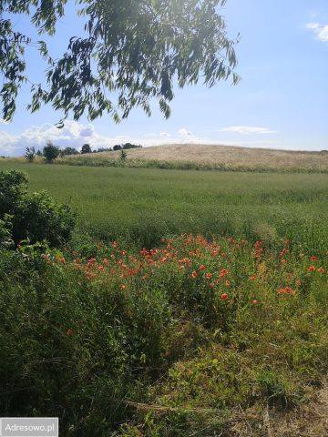 Działka rolna Zełwągi. Zdjęcie 1