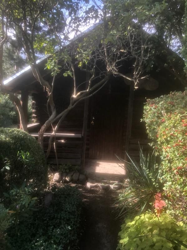 Działka rod Wałbrzych Podzamcze. Zdjęcie 3