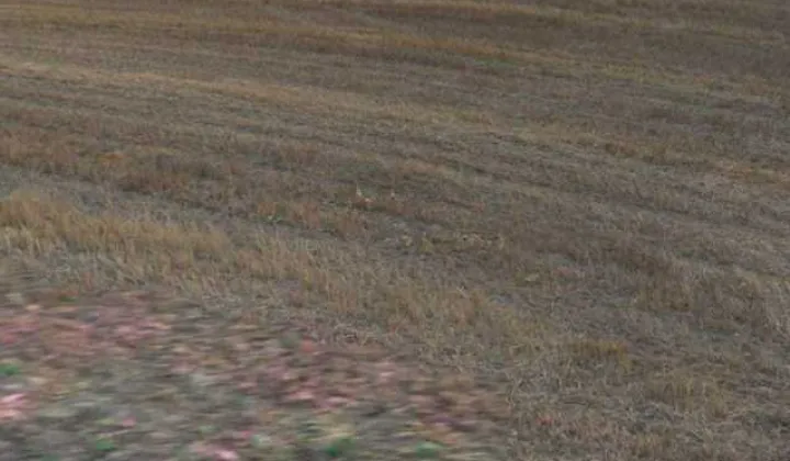 Działka budowlana Strąkowa