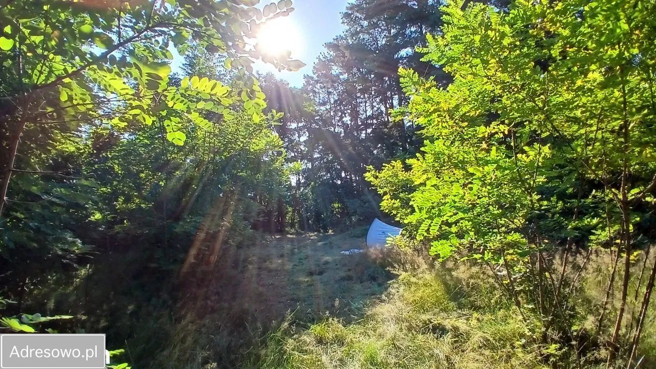 Działka rolno-budowlana Grodnia. Zdjęcie 16