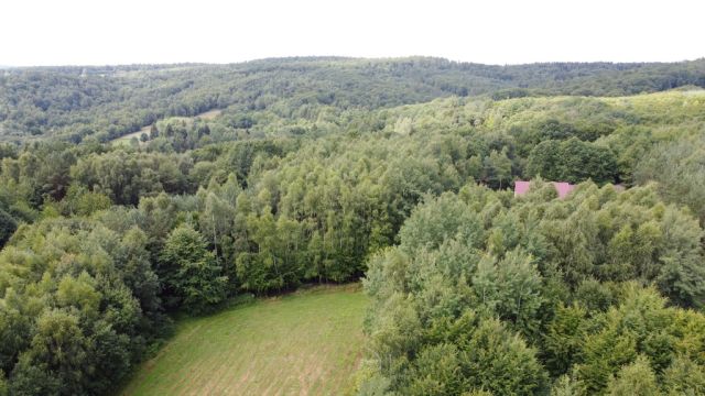 Działka budowlana Nowy Borek. Zdjęcie 4