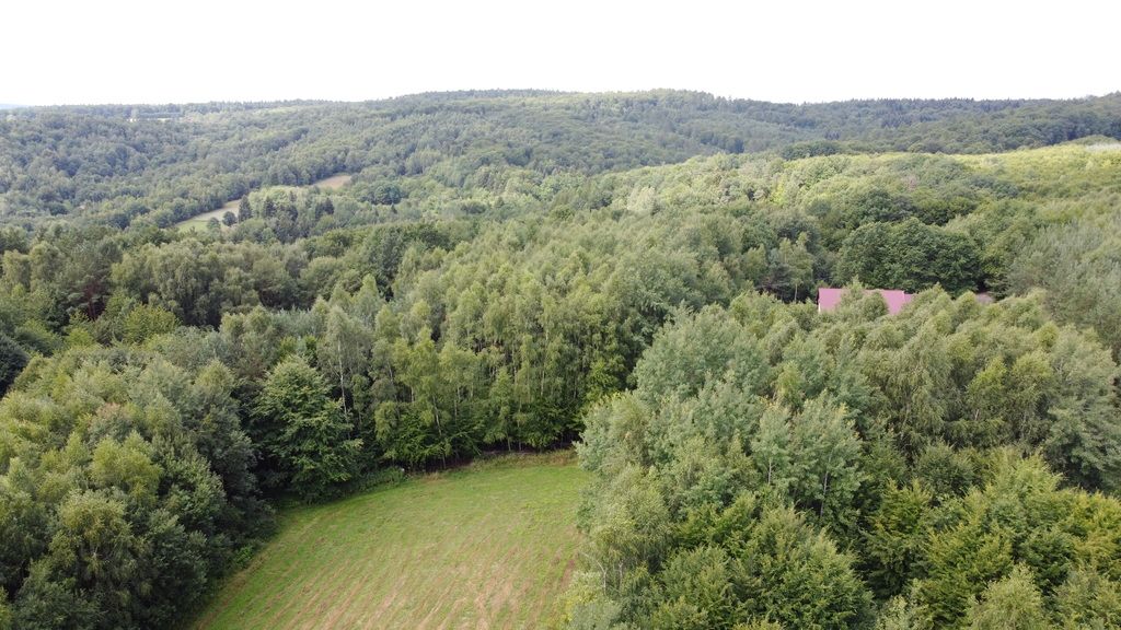 Działka budowlana Nowy Borek. Zdjęcie 4