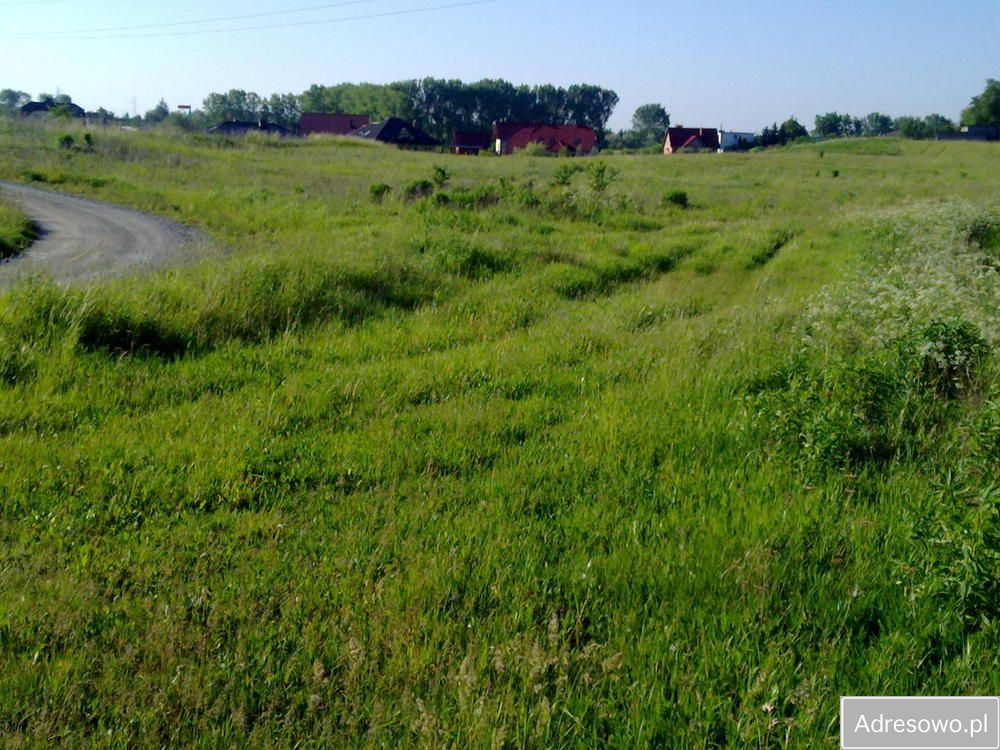 Działka budowlana Gniezno Róża, ul. Fryderyka Szopena. Zdjęcie 3