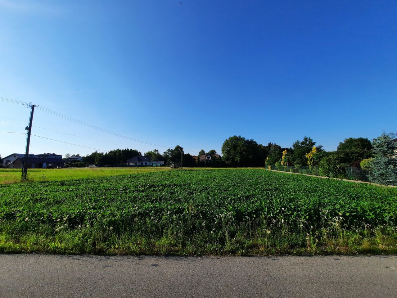 Działka budowlana Wola Rzędzińska. Zdjęcie 2