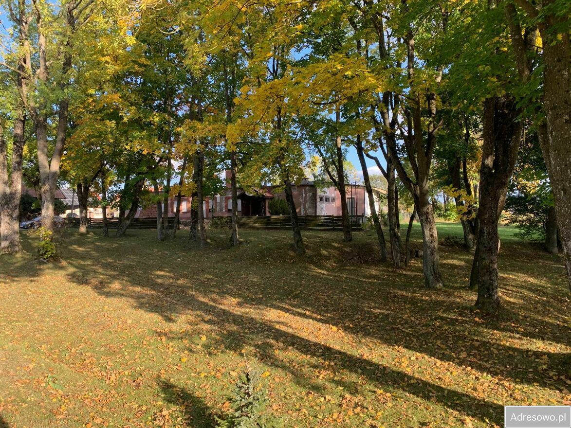 Działka inwestycyjna Pozezdrze. Zdjęcie 2