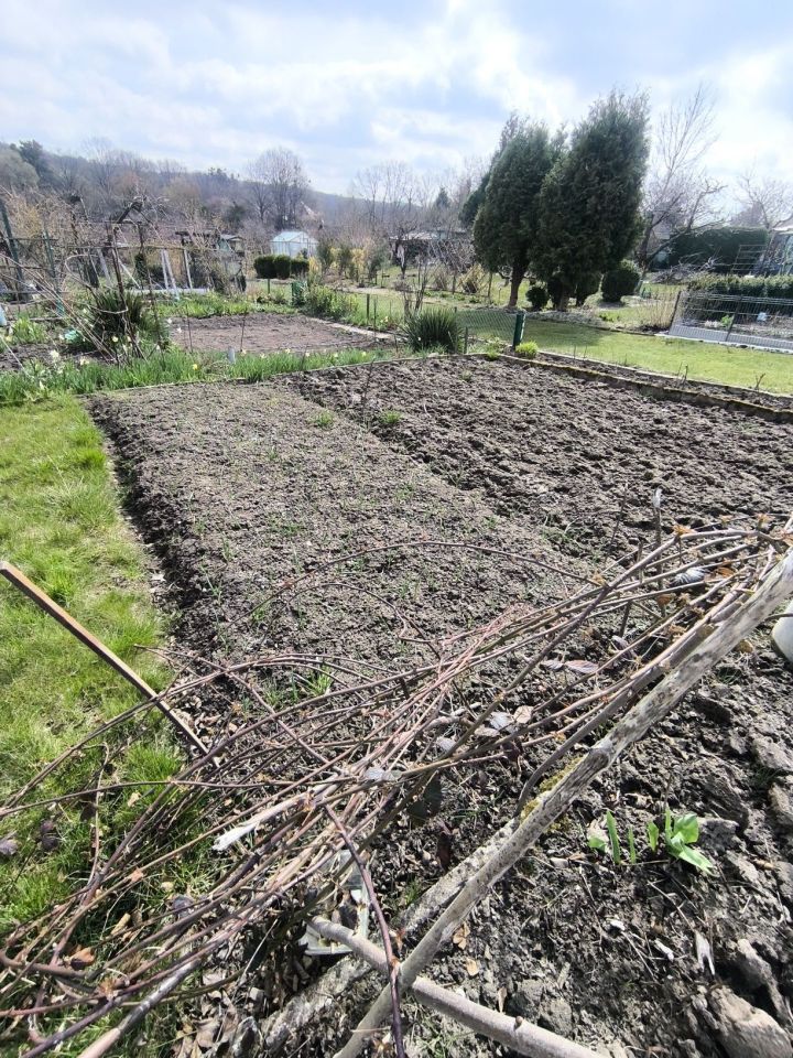 Działka rod Elbląg Bielany. Zdjęcie 7