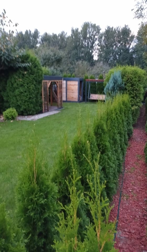 Działka rod Będzin Górki Małobądzkie. Zdjęcie 8