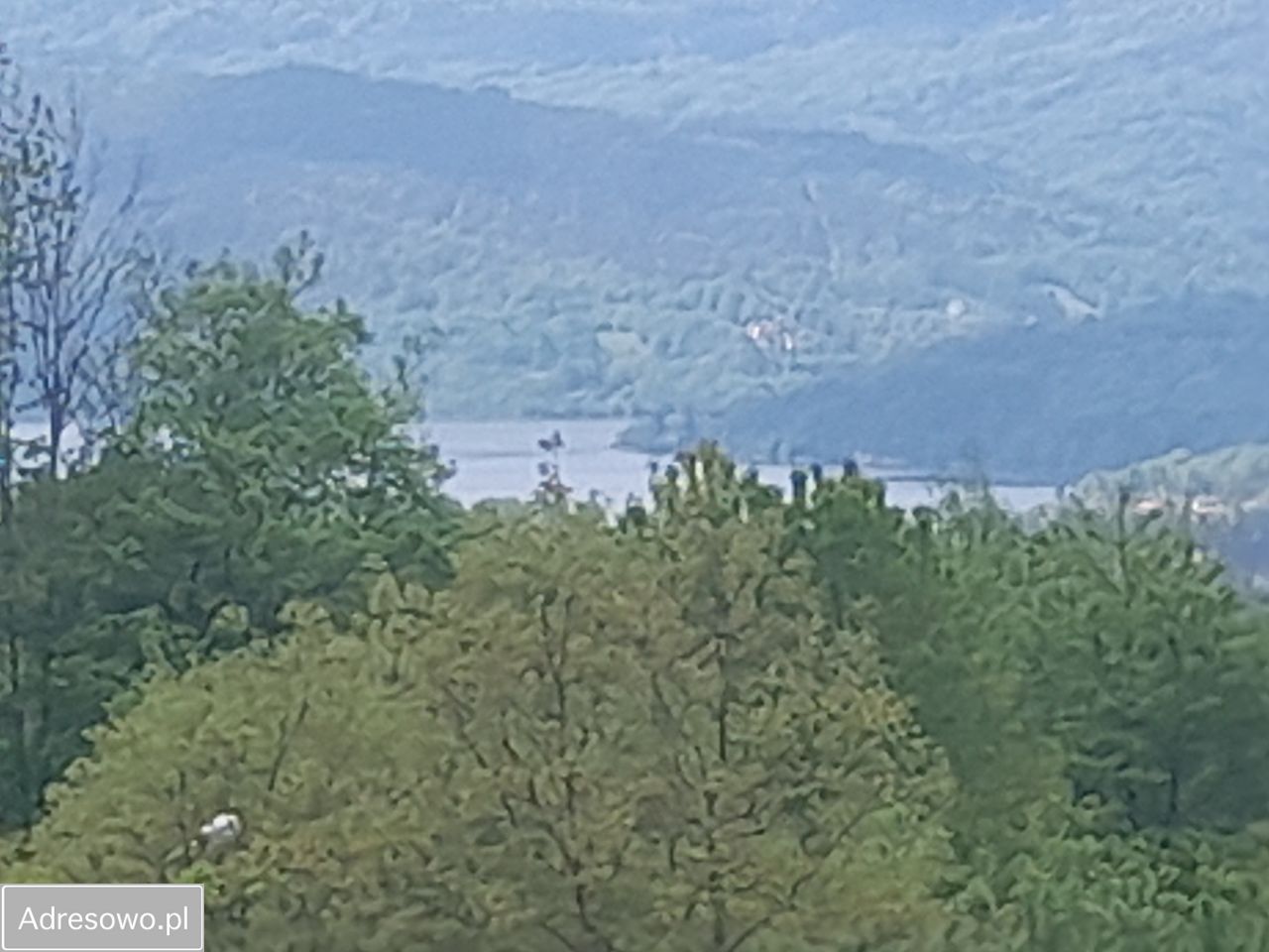 Działka rekreacyjna Rychwałd, ul. Spacerowa. Zdjęcie 10