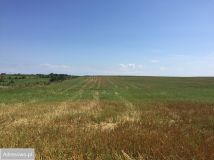 Działka budowlana Stegny. Zdjęcie 2