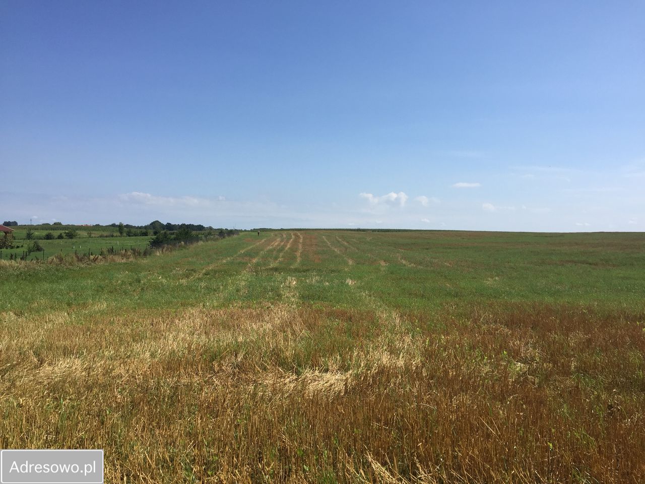 Działka budowlana Stegny. Zdjęcie 3