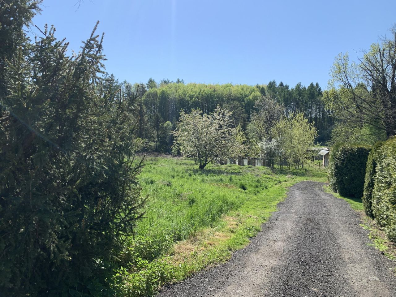 Działka rolno-budowlana Lwowiany, Glowna. Zdjęcie 5