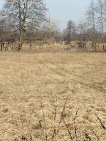 Działka rolna Kalinowo. Zdjęcie 1