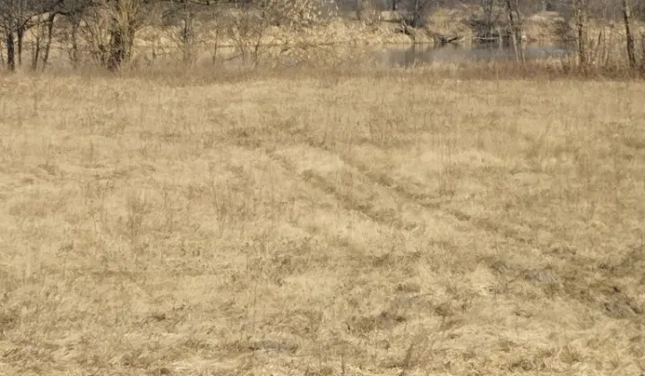 Działka rolna Kalinowo