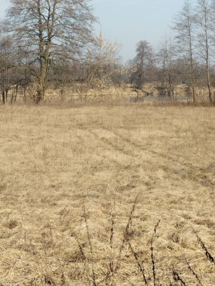 Działka rolna Kalinowo. Zdjęcie 1