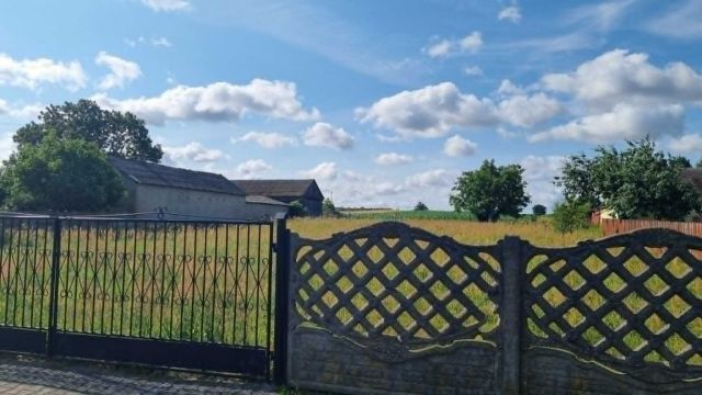 Działka rolno-budowlana Teodorów. Zdjęcie 1