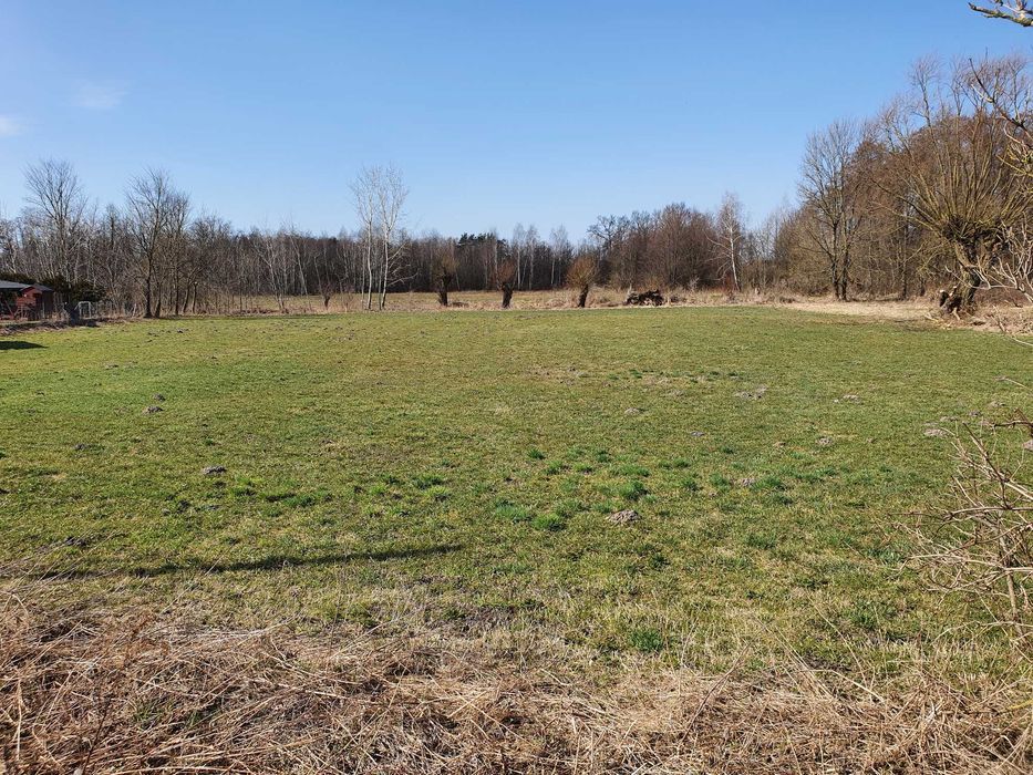 Działka budowlana Włosty-Olszanka. Zdjęcie 8