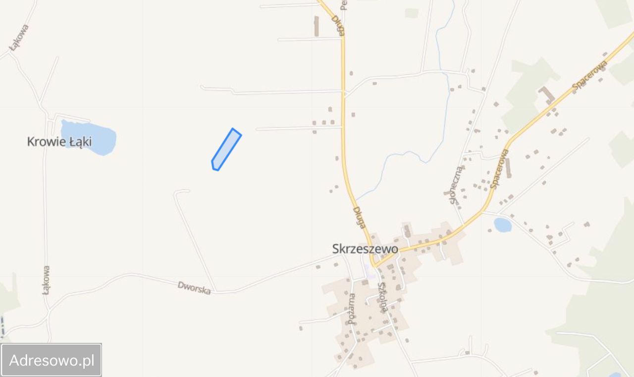 Działka rolna Skrzeszewo. Zdjęcie 4