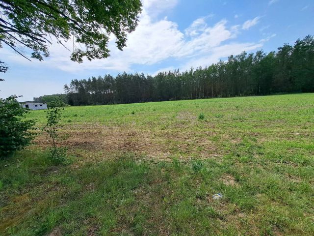 Działka budowlana Karniewo. Zdjęcie 1