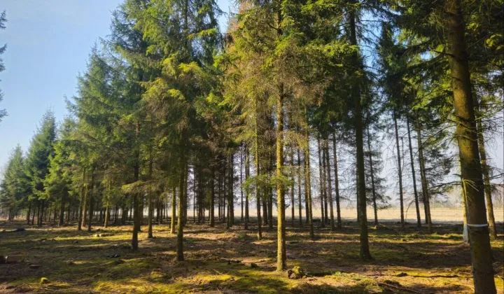 Działka budowlana Studnie