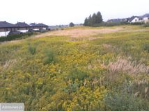 Działka budowlana Kiełczów, ul. Wiosenna