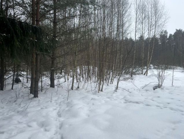 Działka budowlana Naglady, ul. Żurawia. Zdjęcie 1