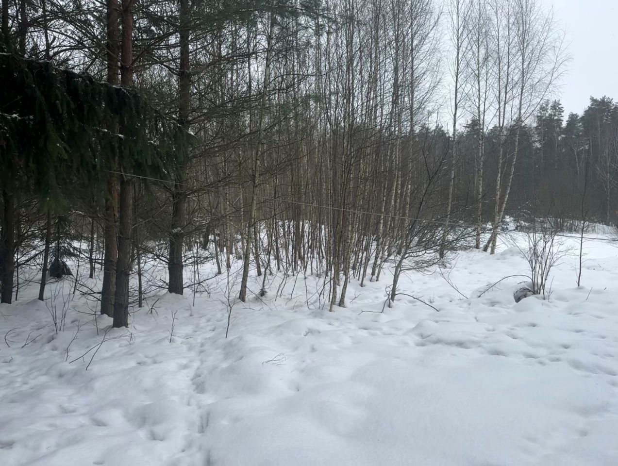 Działka budowlana Naglady, ul. Żurawia. Zdjęcie 1