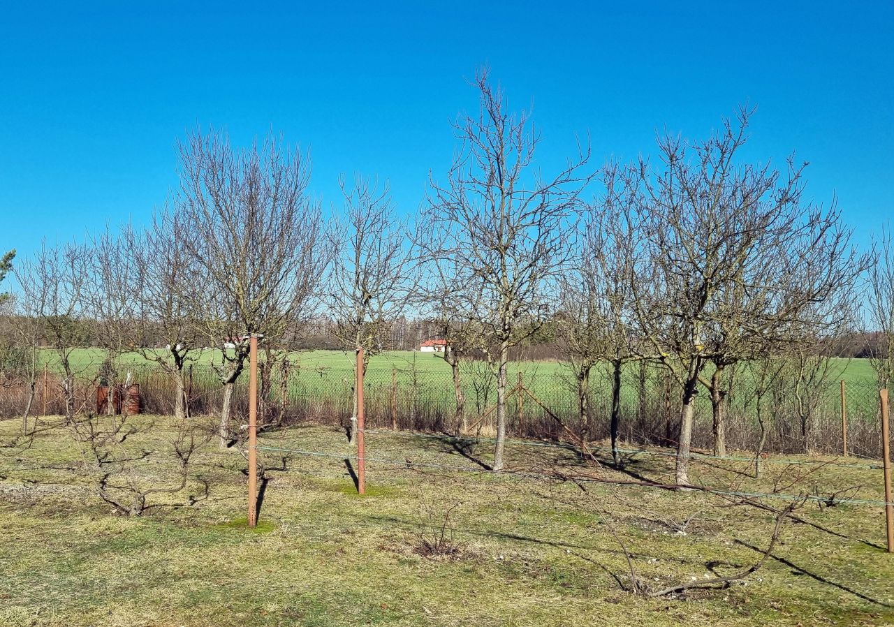 dom wolnostojący, 5 pokoi Sudół Sudół Dolny, Sudół. Zdjęcie 11