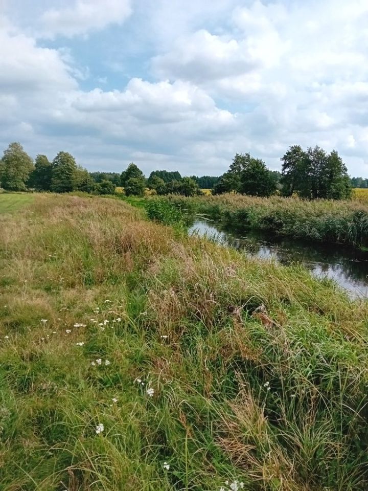 Działka rolna Giełczynek. Zdjęcie 8