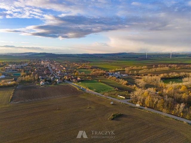 Działka inwestycyjna Jaroszów. Zdjęcie 10