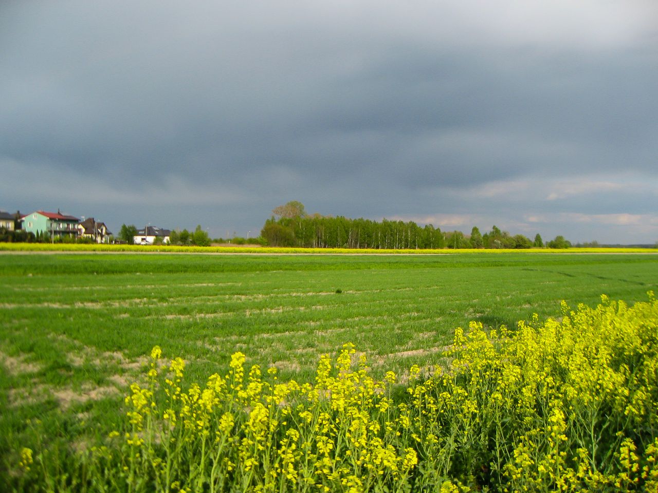 Działka budowlana Parczew, ul. Włodawska. Zdjęcie 5