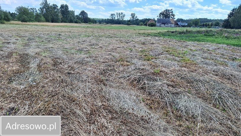 Działka budowlana Sieniawa Żarska. Zdjęcie 5