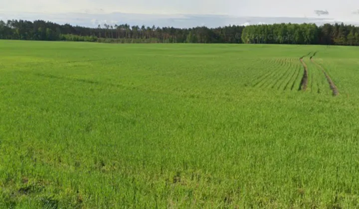 Działka budowlana Celiny