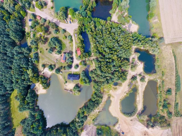 Działka rekreacyjna Osieczna. Zdjęcie 3