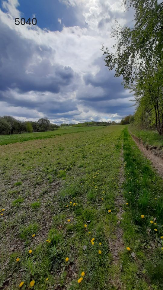 Działka rolno-budowlana Rzeszów Przybyszówka, ul. Złocista. Zdjęcie 3